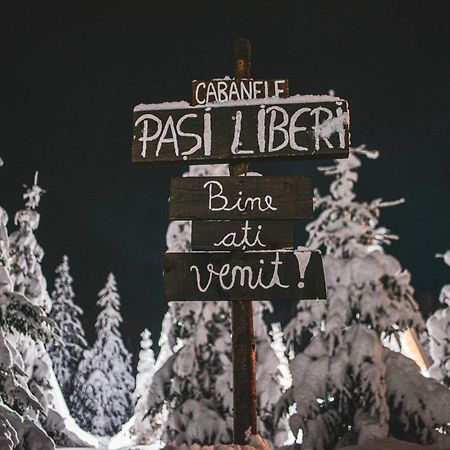 Camere De Inchiriat Pasi Liberi Тэу Бистра Экстерьер фото